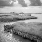 Ferrara surroundings - Valli di Comacchio